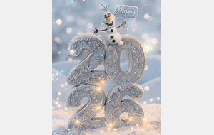 Bonne et heureuse année 2026